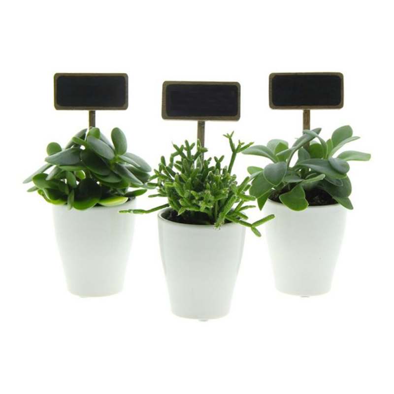 Mini plante - Billede 4